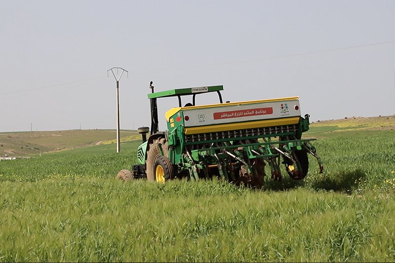 برنامج المثمر للزرع المباشر