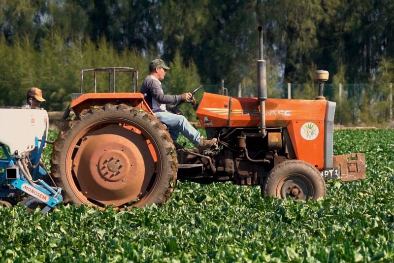 تنويع النسيج الإنتاجي يفك الاعتماد على تساقط الأمطار في نمو الاقتصاد