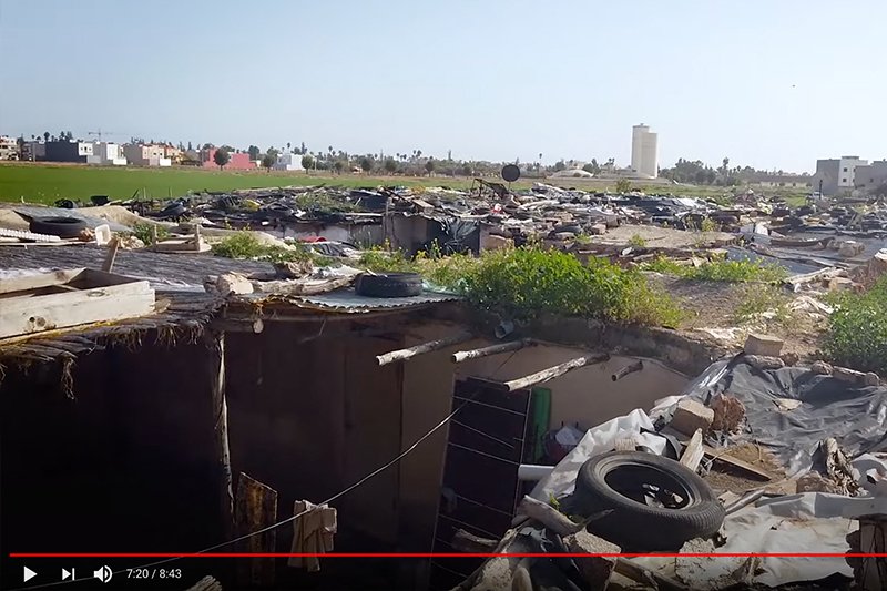 حياة بلا نبض