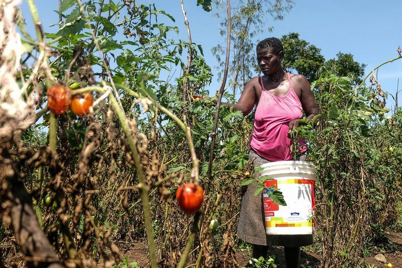خسائر الاقتصاد الإفريقي تقارب مائة مليار دولار جراء “جائحة كورونا”