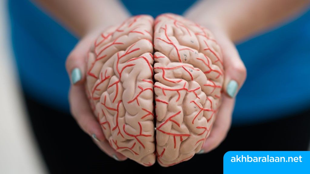 خطر الإصابة بـ”الخرف“ يقلّ مع ممارسة عادات يومية.. ما هي؟