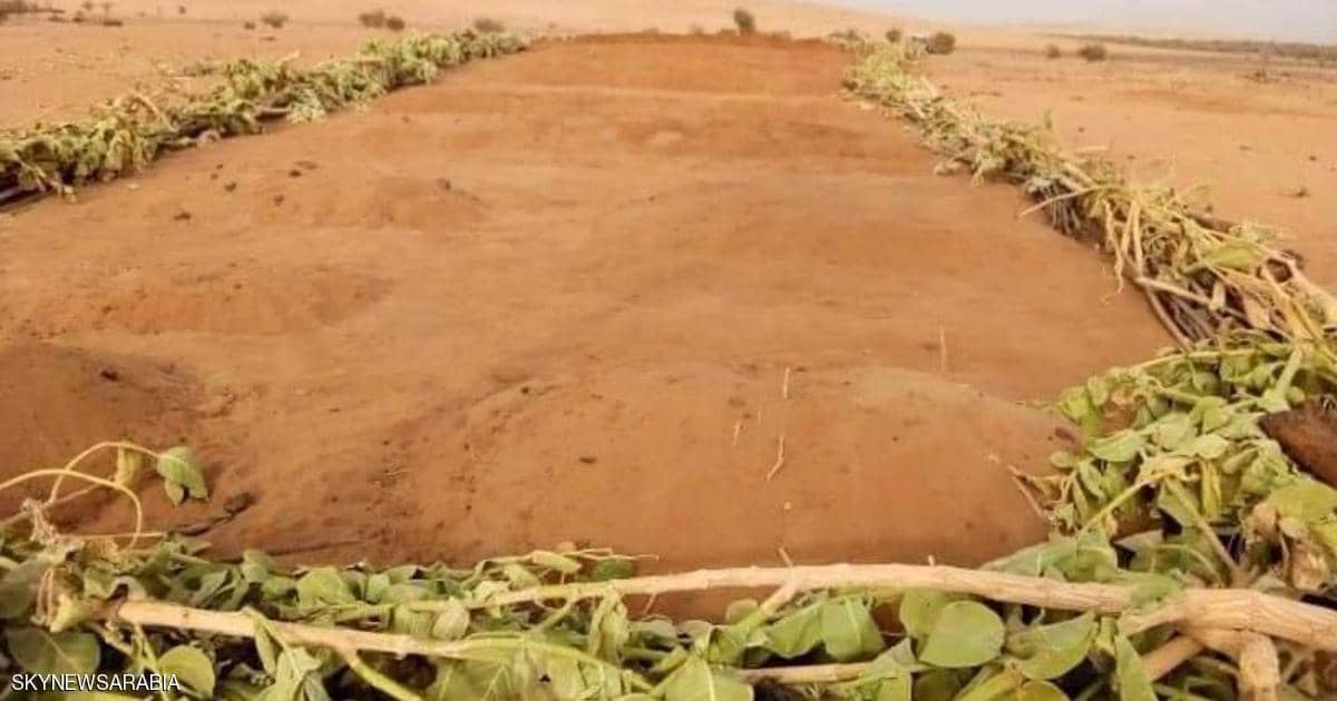 “داعش” يحشد جيشا.. وينفذ أكبر مجزرة بحق طوارق النيجر