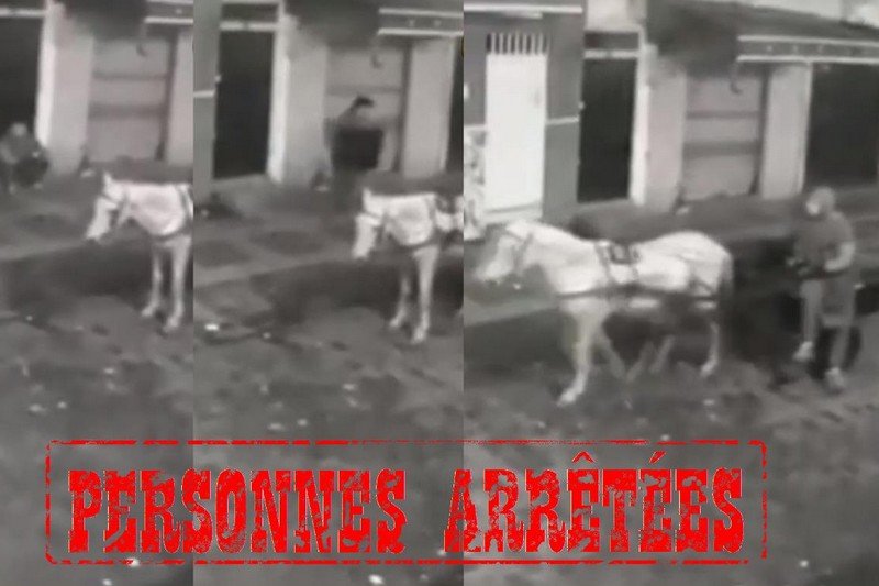 “فيديو” يستنفر ولاية الأمن في مدينة القنيطرة