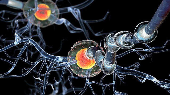 كل شيء عن أمراض المناعة الذاتية