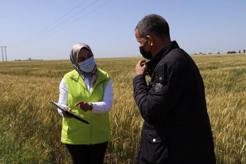 “مجموعة الفوسفاط” تسهل ولوج الفلاحين إلى الحلول الرقمية للتمويل الزراعي