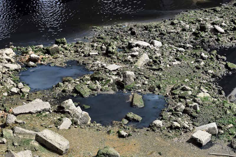 مستشارون جماعيون يحذرون من خطر تلوث نهر أبي رقراق في الرباط