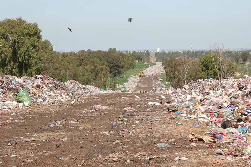 مطرح نفايات وسط غابة