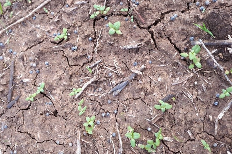 ناد للرماية يقلق راحة ساكنين نواحي بنسليمان