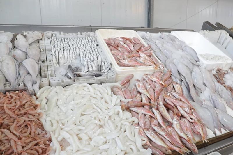 المضاربة ترفع أثمان الأسماك