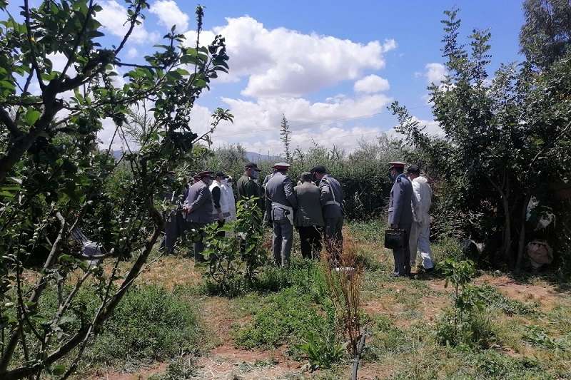 سبعيني يقتل ابنه في نواحي الفقيه بنصالح