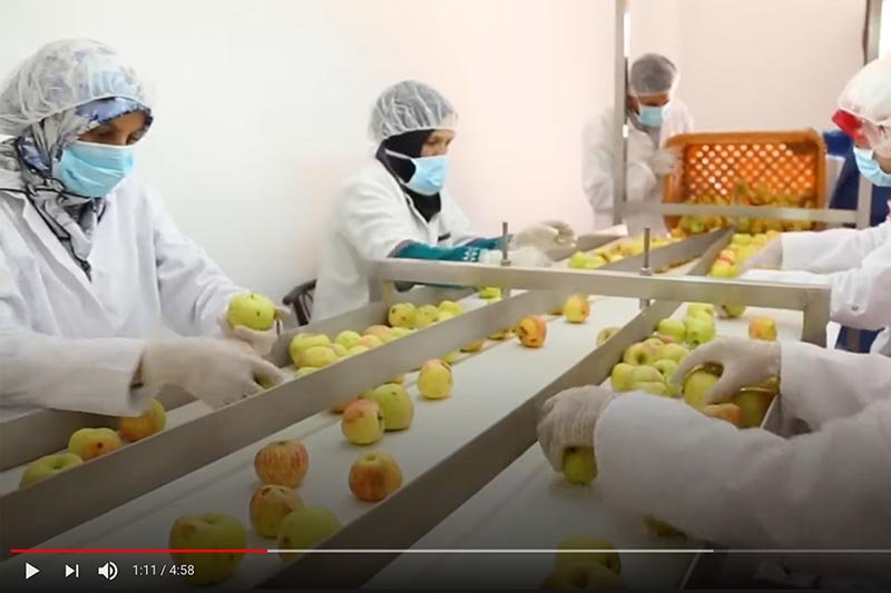 سلسلة التفاح بإقليم الحوز