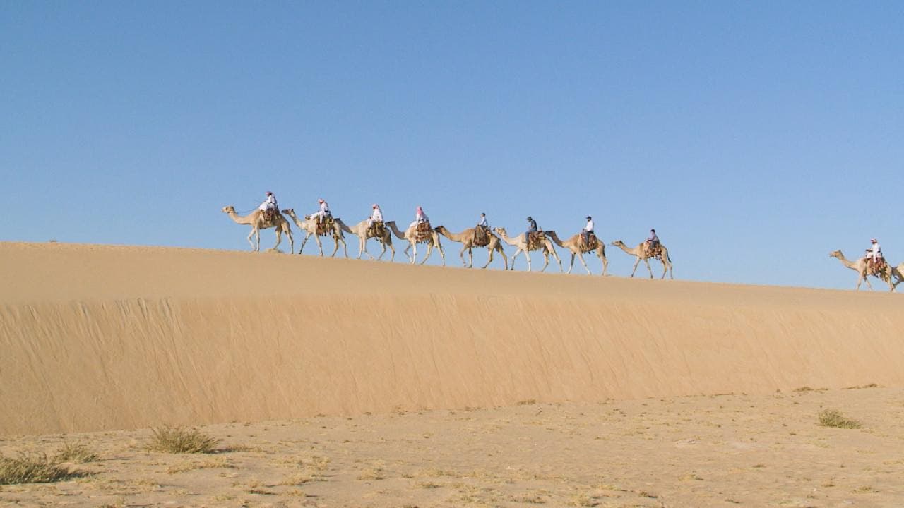 شاعر بدوي فاجأ سامعيه.. قَتلوا مترجمه وذهب دمه هدراً