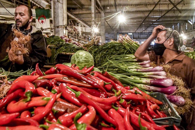 فشل النظام يزيد حدة أزمة المعيشة في الجزائر