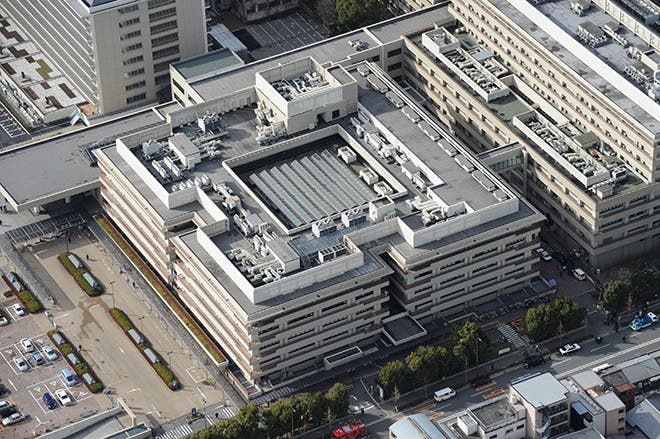 مريضة بكورونا تخضع لزرع رئة من متبرعين حيين في اليابان