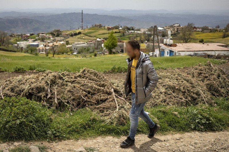 مزارعون بكتامة يستعدون للتنقل إلى الرباط لنقاش “تقنين القنب الهندي”