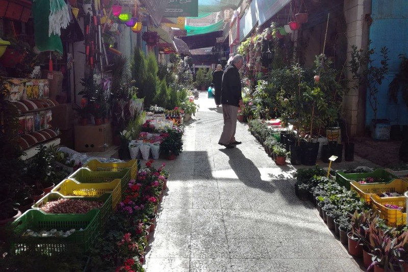 مشتل يحتل حديقة ويتحدى السلطة في البيضاء