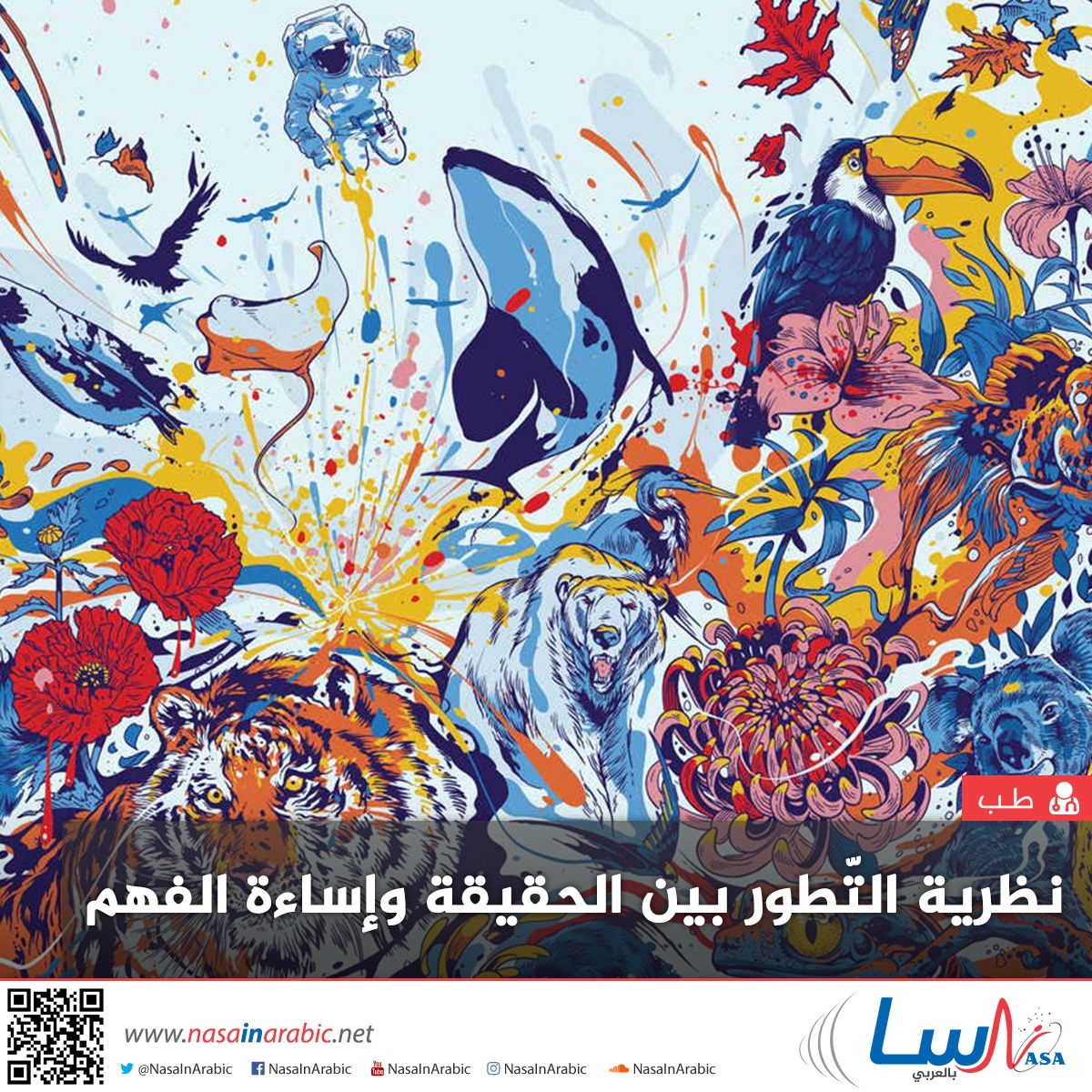 نظرية التّطور بين الحقيقة وإساءة الفهم