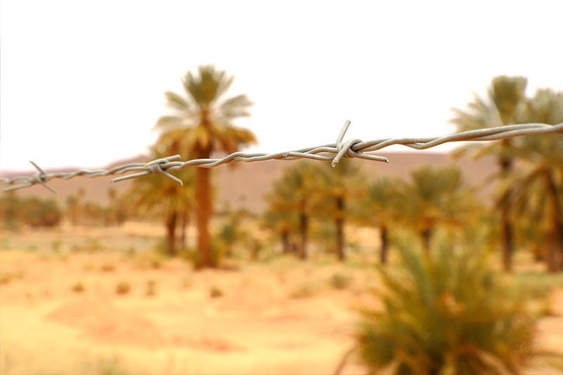 العرجة .. ضحية التوتر المغربي الجزائري