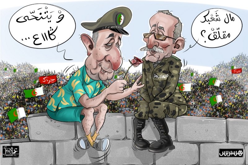 العسكر الجزائري والمغرب.. عداوة الحرب الاقتصادية ثابتة و”الصواب يكون‎”