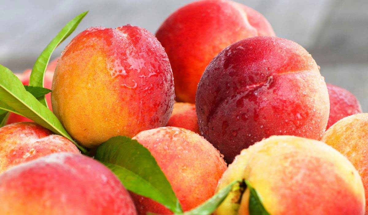 بضع غرامات من بذورها قاتلة.. احذروا نواة هذه الفواكه