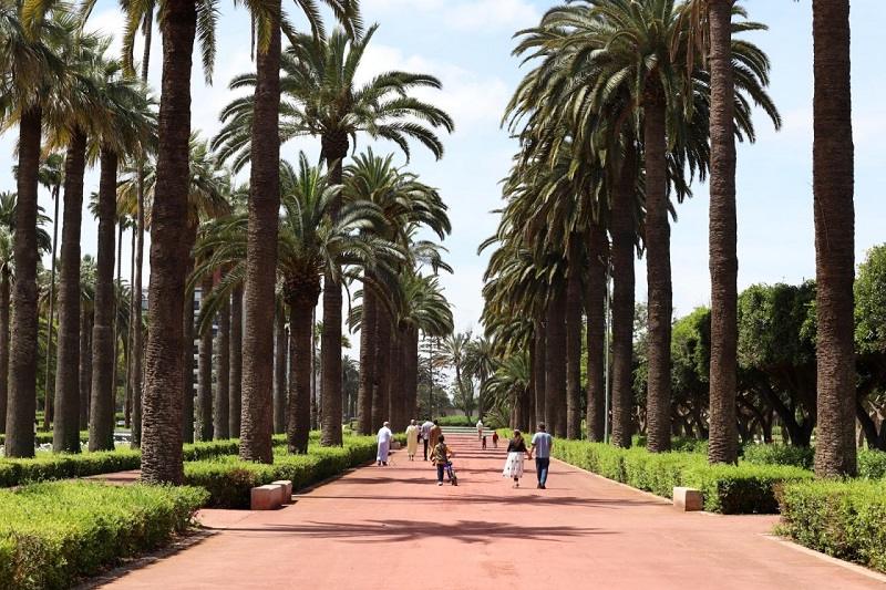 بيضاويون يستبشرون بافتتاح “الجامعة العربية” ويطلبون مساحات خضراء