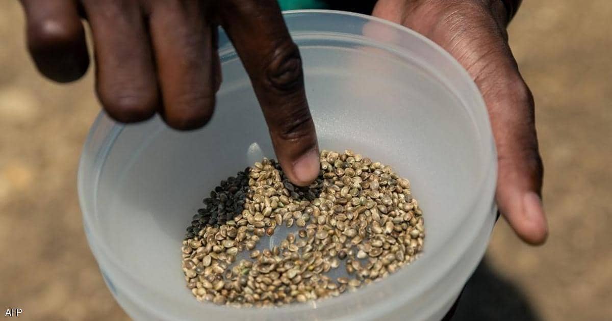 تقرير: أزمة غذاء خانقة تعصف بالعالم.. ودعوة لعمل إنساني عاجل