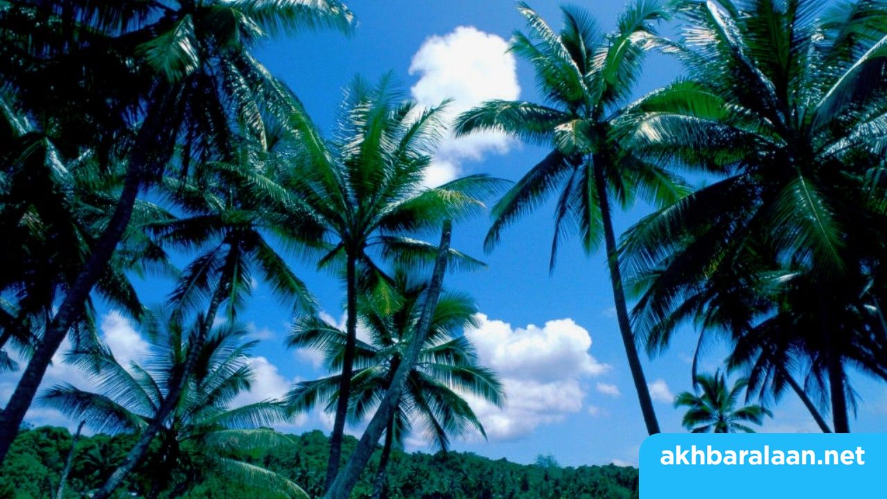 جزيرة في المحيط الهادىء تعلن تلقيح جميع سكانها ضد كورونا.. تعرفوا عليها