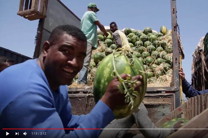 جودة “الدلاح” في زاكورة