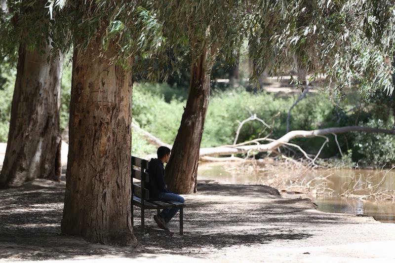 حملة ترافعية تندد باستفحال “المشاريع الإسمنتية” وترفض تخريب غابة المعمورة