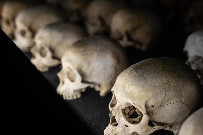 دراسة جديدة تكشف تفاصيل أولى الحروب العرقية في التاريخ