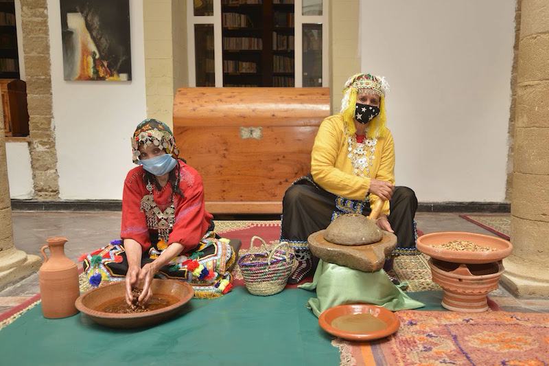 شجر الأركان يشغل 25 ألفا من المغاربة ويبيع 1,2 مليار درهم في السنة