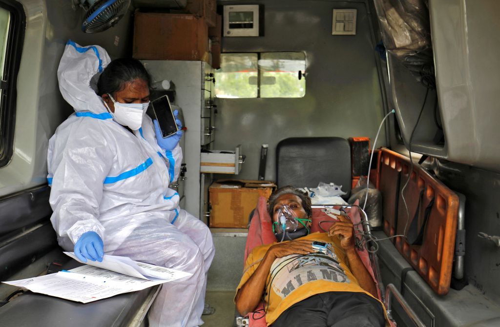 الفطر الأسود 