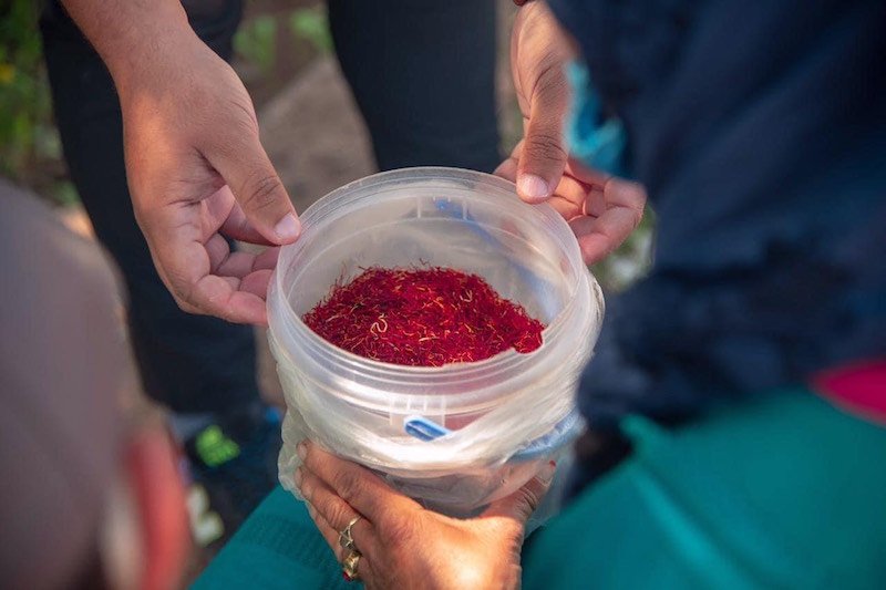 مزاد يدعم أرملة و7 يتامى بـ15 مليونا مقابل غرامات من الزعفران