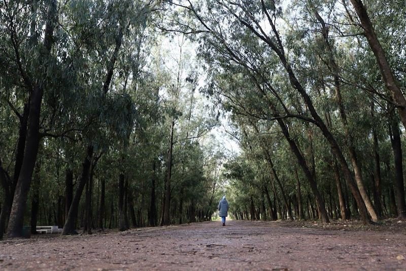 هذه حقيقة تعرض عون سلطة للاغتصاب في غابة