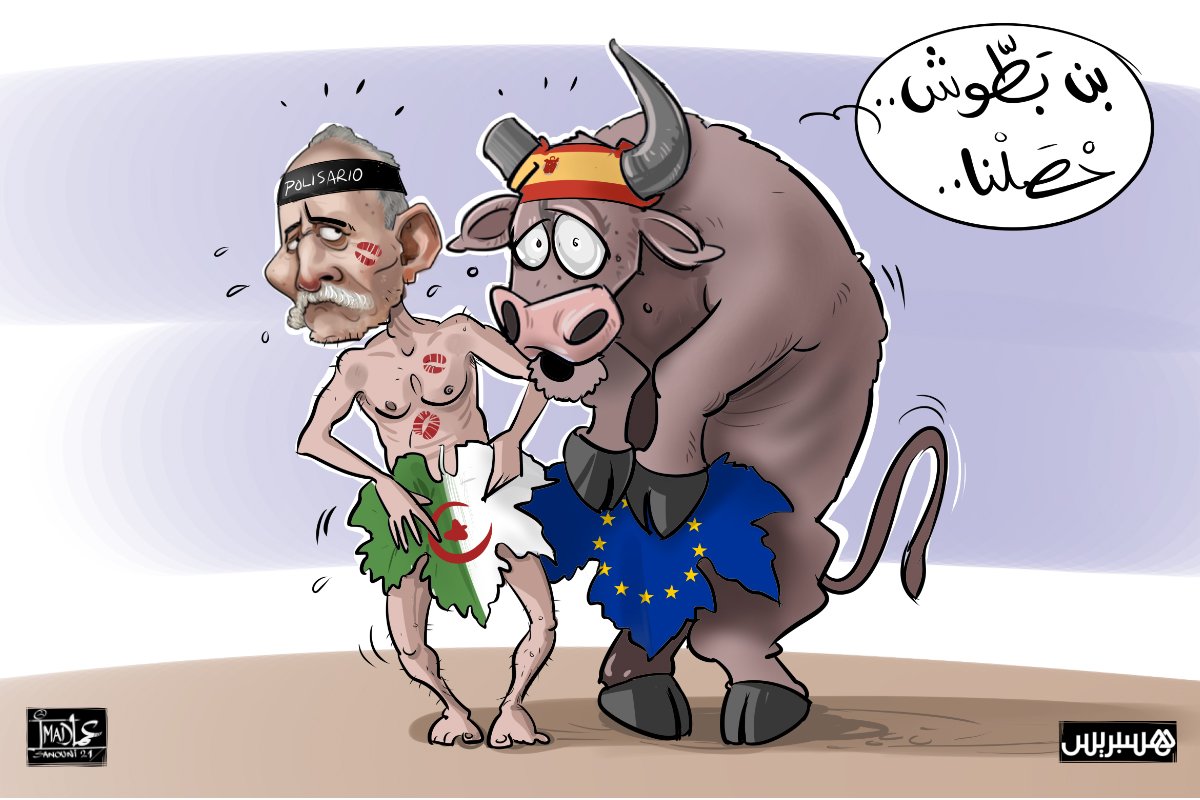 هل أرسلت الجزائر طائرة عسكرية إلى إسبانيا لتهريب الانفصالي “ابن بطوش”؟‬