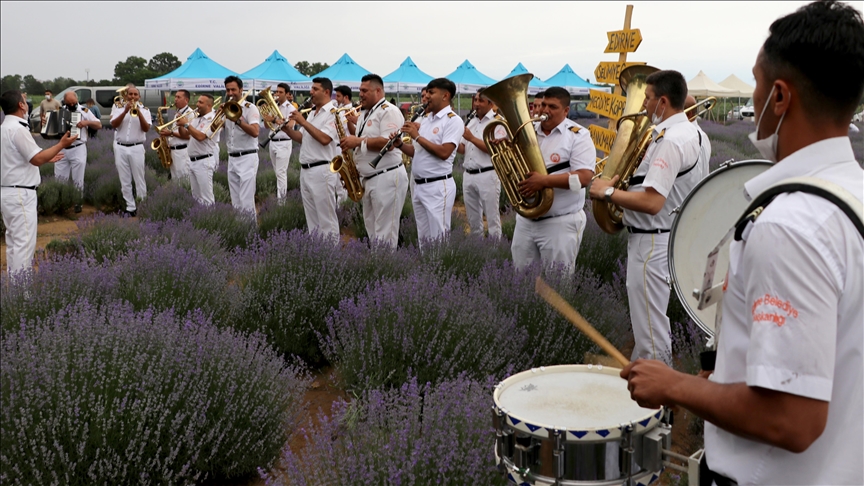اختتام مهرجان أيام حقول اللافندر في تركيا