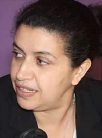 النموذج التنموي الجديد وإشكالية التطبيق