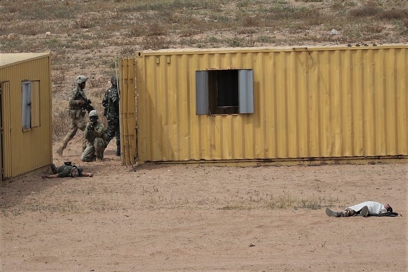 بلاغ للقوات المسلحة بشأن مناورات “الأسد الإفريقي”