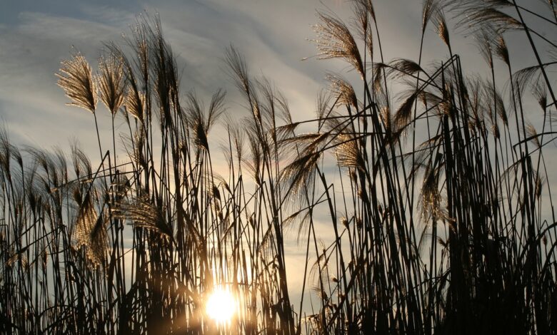 طقس اليوم .. أجواء حارة مرتقبة في مختلف ربوع المملكة