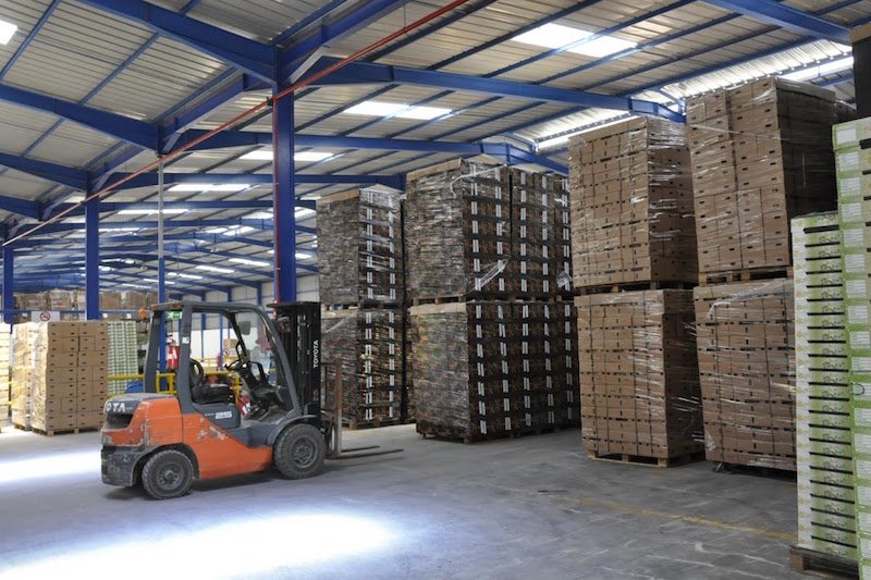 قطاع الصناعات الغذائية في المغرب يحقق رقم معاملات بـ161 مليار درهم