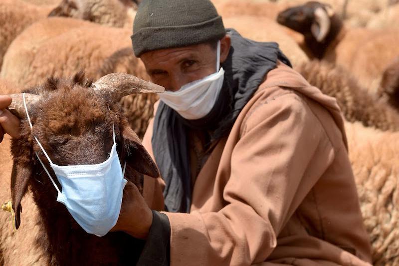 هذا موعد حلول عيد الأضحى المبارك في المغرب‎