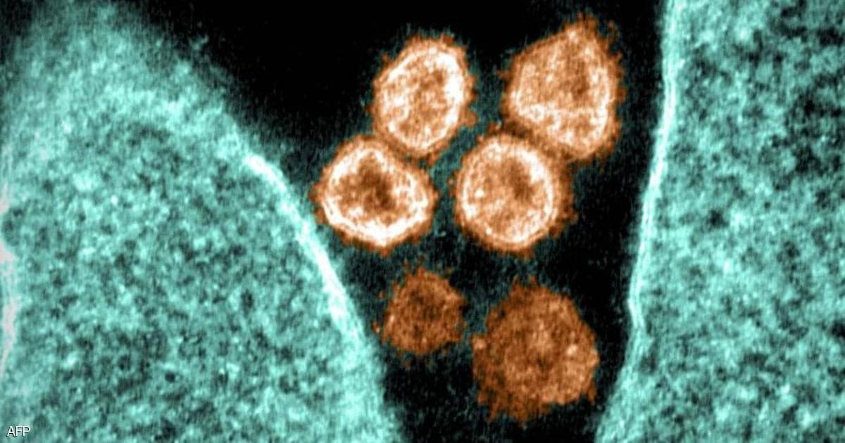 ارتفاع إصابات فيروس كورونا في أميركا.. فكم أصبحت؟