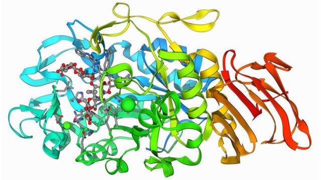 برنامج ذكاء اصطناعي يتنبأ بهياكل بروتينات الكائنات الحية