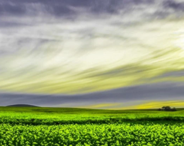 سياسة مناخية واعدة قد تنقذ البشرية من الفقر