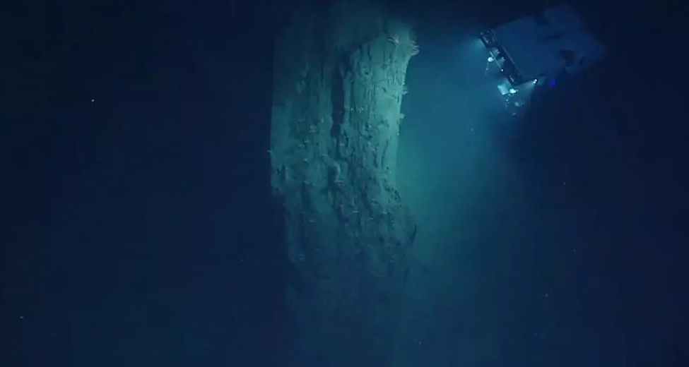 صياد أمريكي يروي قصة نجاته من الموت بعد أن ابتلعه حوت