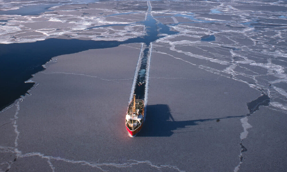 علماء: العالم مُقبل على كارثة (شاهد)