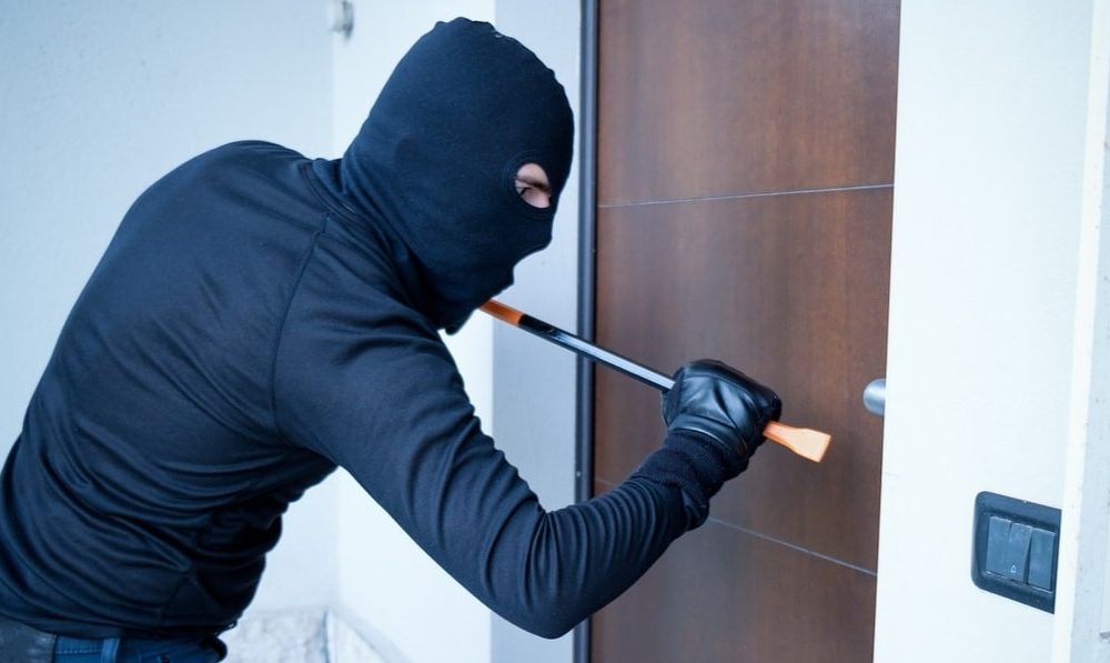 قصة “اللص الظريف”.. نظّف البيت وقدّم الطعام للقطط وغادر!