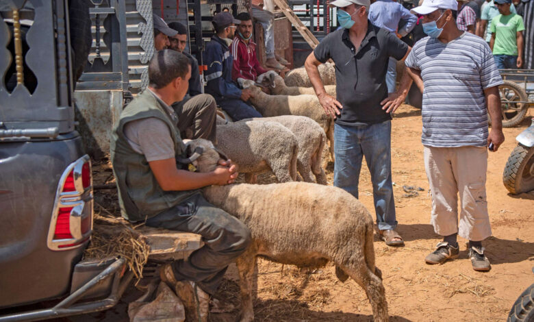 وزارة الأوقاف : عيد الأضحى يوم الأربعاء 21 يوليوز في المغرب