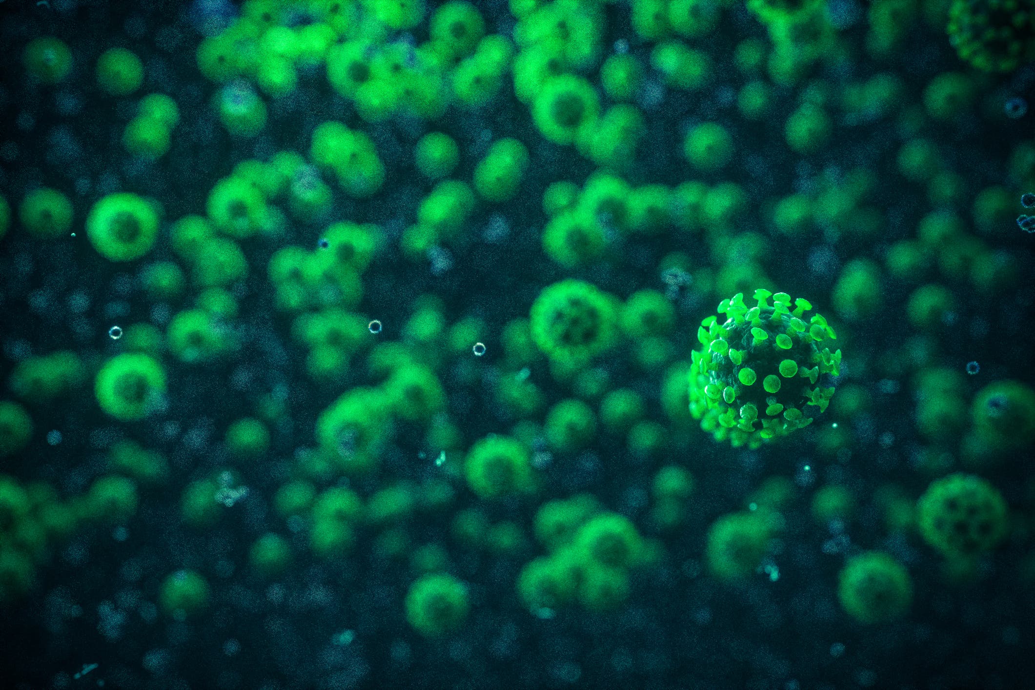 صدق أو لا تصدق.. فيروس جديد قد يحمي الإنسان من البكتيريا