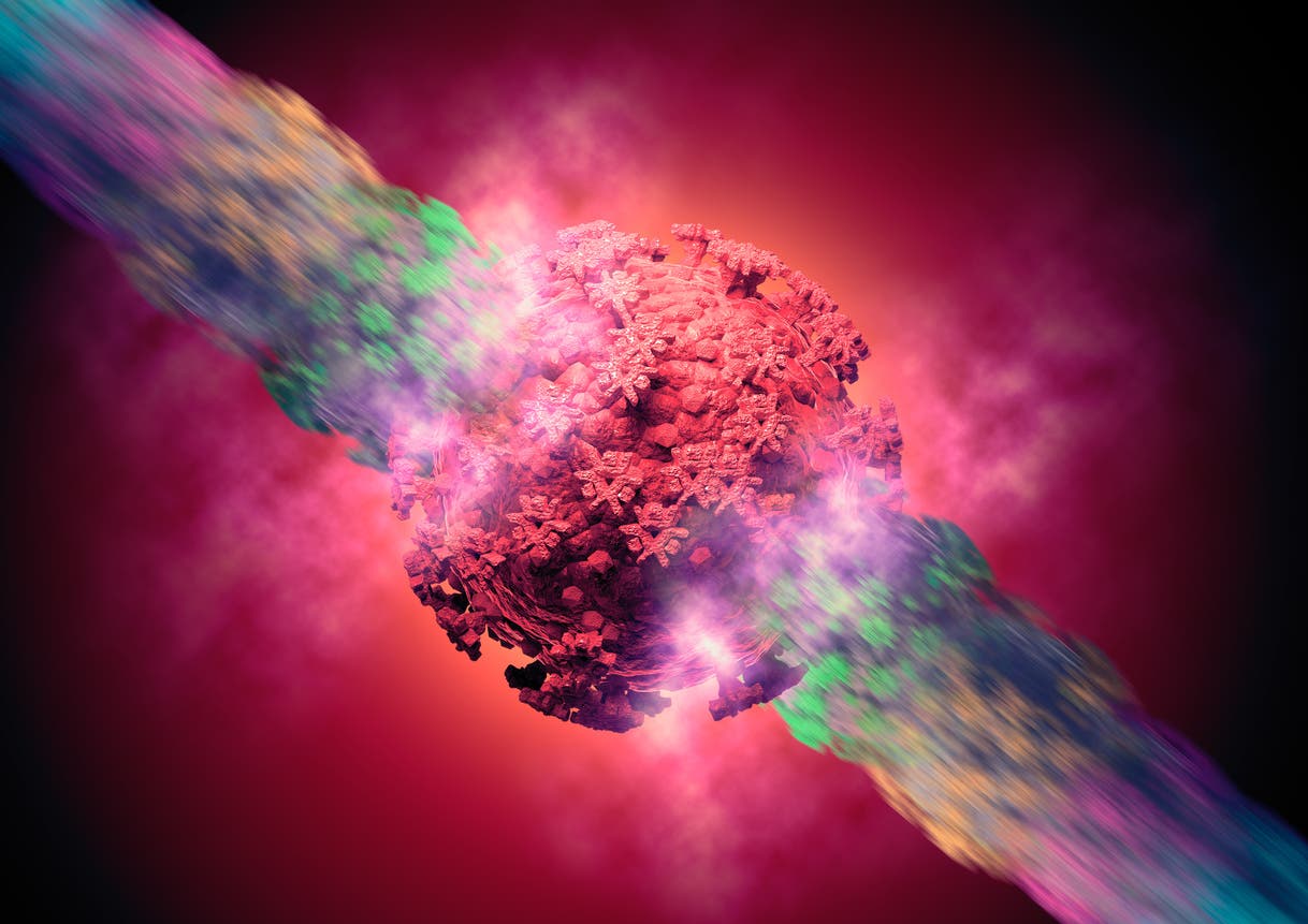 نيوزيلاندا تكتشف سلالة كورونا شديدة التحور